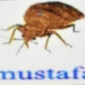 Клоп_Мустафа