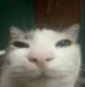 The0Pixel
